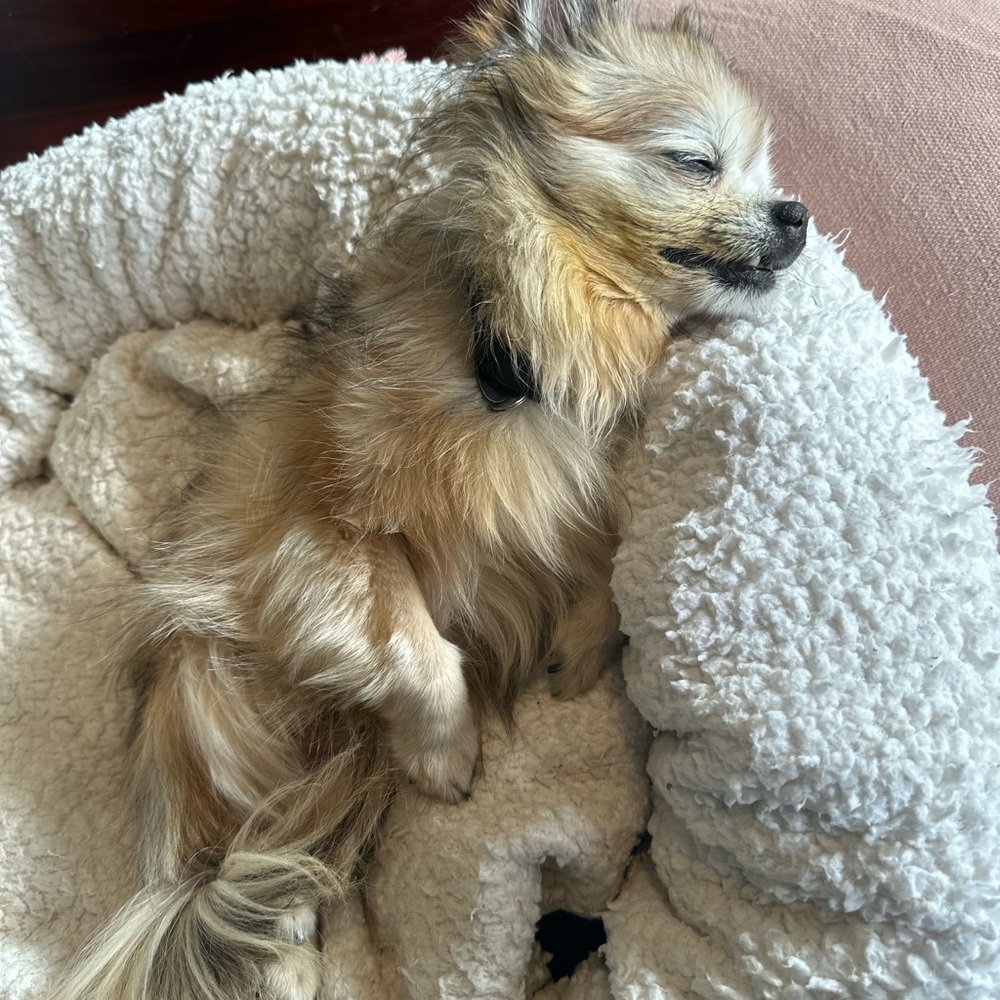 Kuru Quantum Women's Shoes Size 7 Wide Purple Comfort Mesh Stability Sneakers